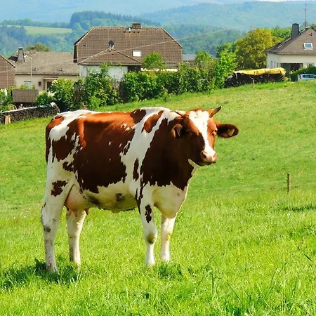 Sabine - Guenstig Gelegen Im Rheingau Zwischen Ruedesheim Am Rhein Und Der Loreley Wollmerschied