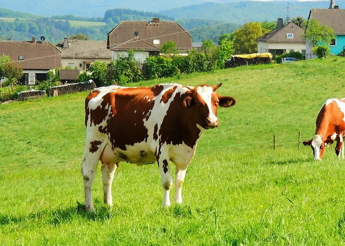 Loreley Wollmerschied